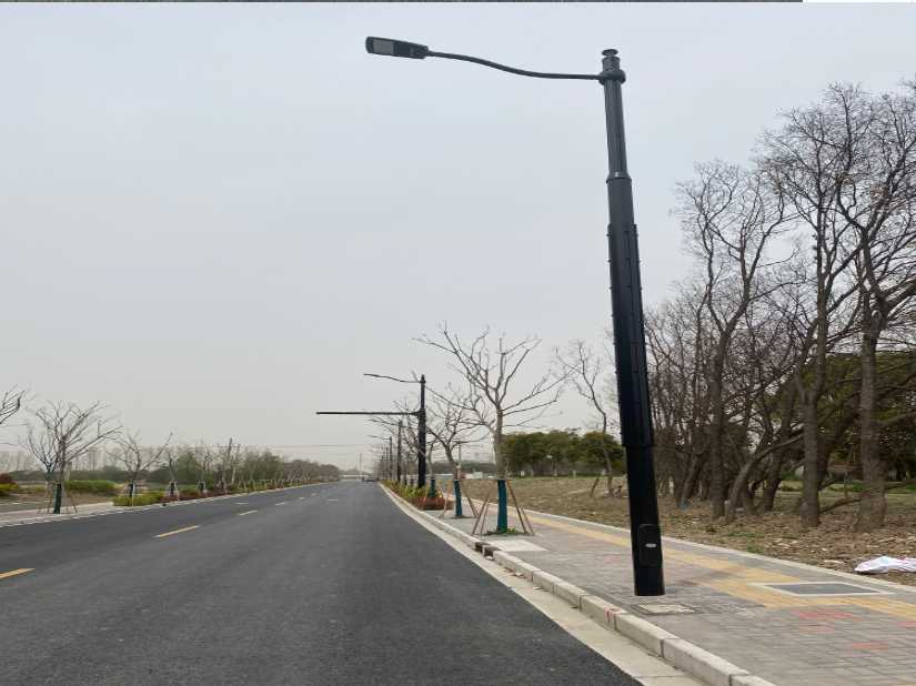 西双版纳傣族自治州上海综合杆 太阳能路灯工程